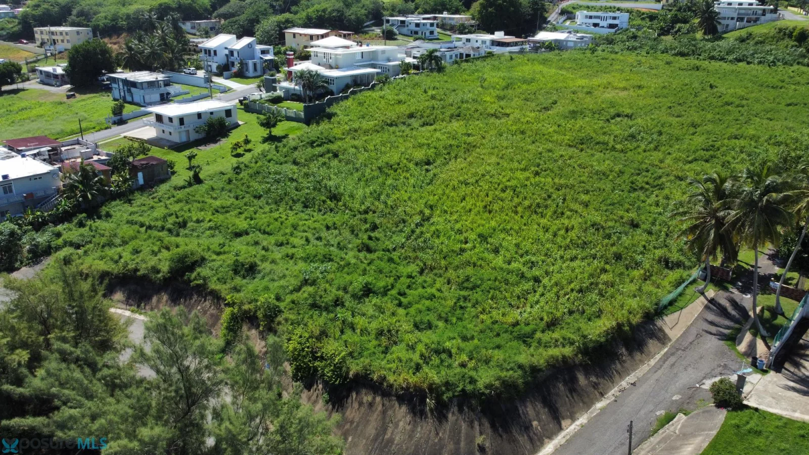 Terreno en Barrio Hato Arriba, arecibo - foto 3