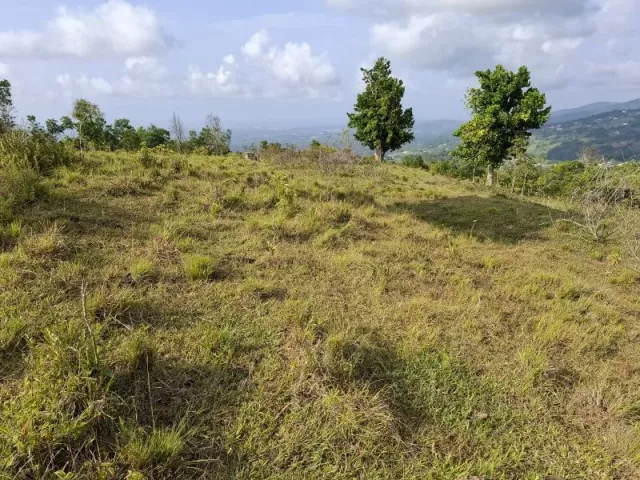 Bo Guzmán Arriba, Finca En Rio Grande venta en Río Grande, PR