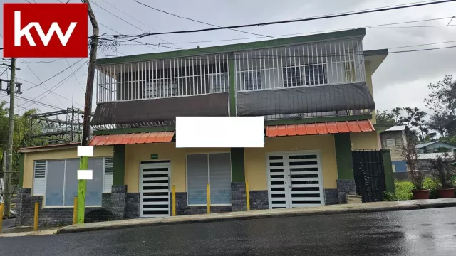 Bo. Caguitas, Propiedad En Aguas Buenas venta en Aguas Buenas, PR