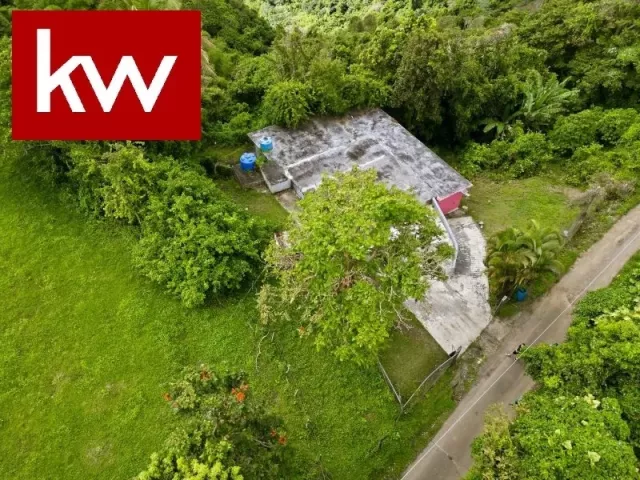 Bo. Las Palmas, Finca En Guayama venta en Guayama, PR