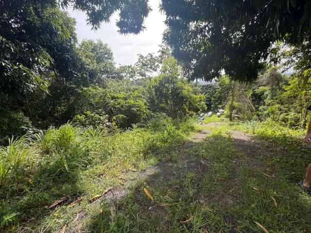 Bo. Cagüitas, Terreno En Aguas Buenas venta en Aguas Buenas, PR