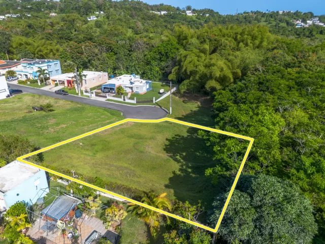 Bo. Florida, Terreno en San Lorenzo venta en San Lorenzo, PR