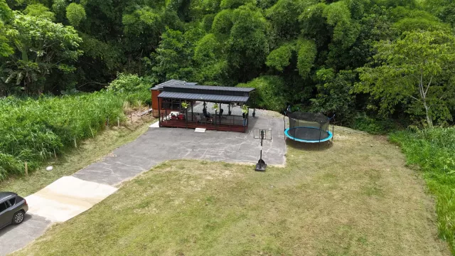 Naranjo venta en Aguada, PR