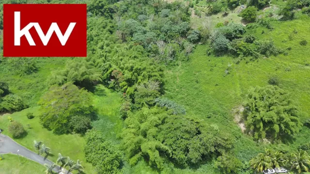 Bo. Calzada, Terreno en Maunabo venta en Maunabo, PR