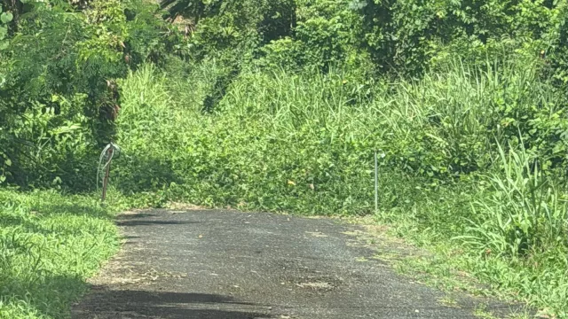 casas en venta o alquiler en Luquillo