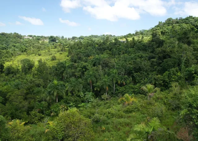 Bo. Naranjales, Terreno en Mayaguez venta en Mayagüez, PR