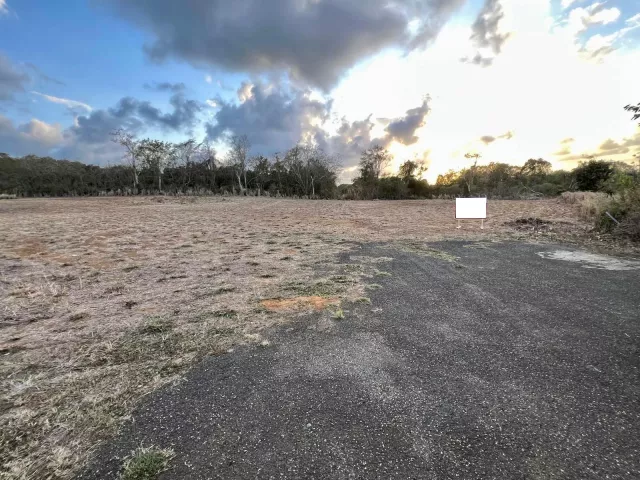 Bo. Membrillo, Terreno en Camuy venta en Camuy, PR