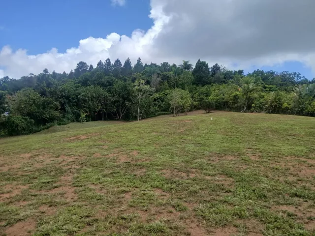 Bo. Naranjo, ComerÍo, P.r venta en Comerío, PR