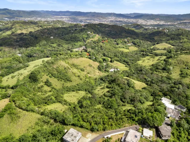 Finca en Bo. Tomas de Castro I, Caguas venta en Caguas, PR