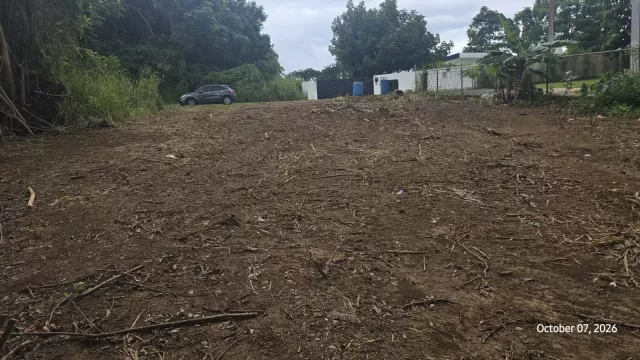BO COCOS venta en Quebradillas, PR