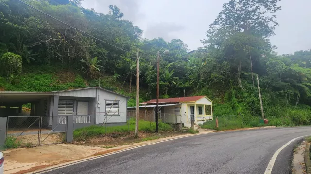 Bo. Juan Gonzalez, Finca En Adjuntas venta en Adjuntas, PR