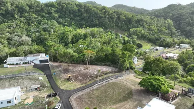 Bo. Cibuco, Terreno en Corozal venta en Corozal, PR