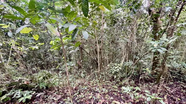 Bo. Pasto Carretera 718 Km 1.7 venta en Aibonito, PR