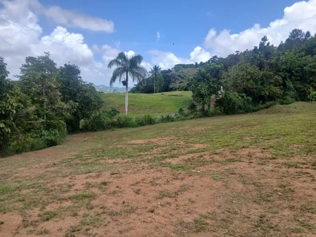 Bo. Naranjo, ComerÍo, P.r venta en Comerío, PR