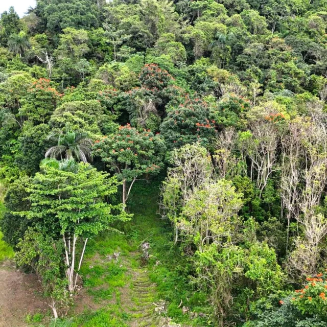 Bo. Río Arriba Poniente venta en Manatí, PR