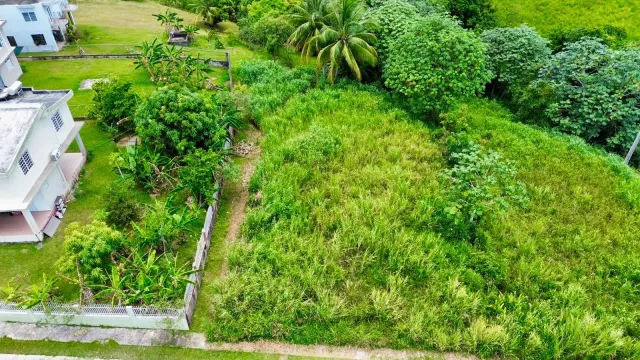 Bo. Jaguas, Terreno en Ciales venta en Ciales, PR
