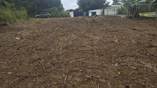 BO COCOS venta en Quebradillas, PR