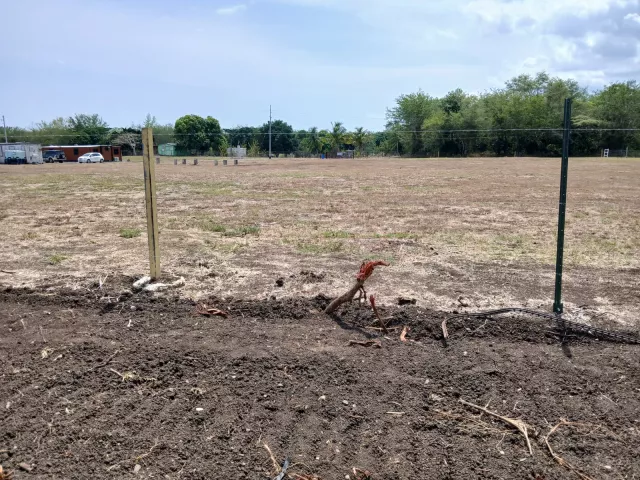 Bo. Sabana Yeguas, Terreno En Lajas venta en Lajas, PR