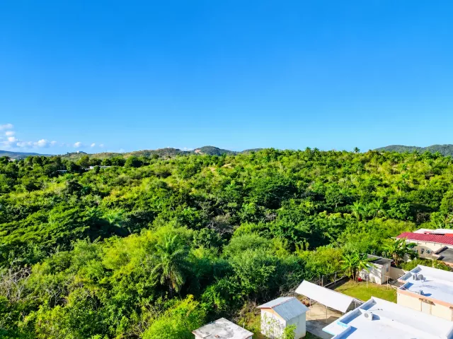 Bo Almacigo Bajo * Inversion venta en Yauco, PR