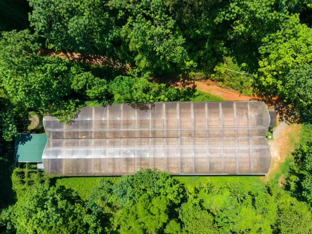 Bo. Rosario Alto, Finca en San German venta en San Germán, PR
