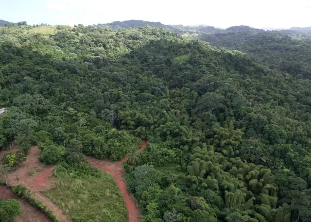Bo. Naranjales, Terreno en Mayaguez venta en Mayagüez, PR