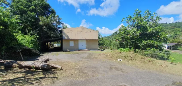Bo. Cubuy venta en Canovanas, PR
