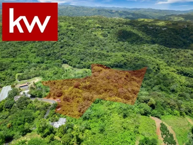 Bo. Espino, Finca en Lares venta en Lares, PR