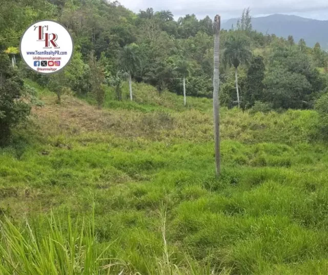 Las Quintas venta en Ceiba, PR