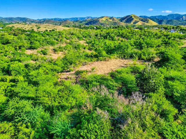 Bo Almacigo Bajo * Inversion venta en Yauco, PR