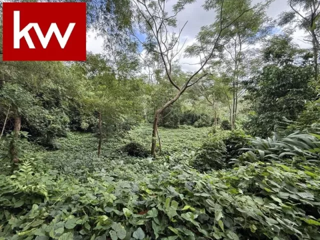 Bo Cañaboncito, Terreno En Caguas venta en Caguas, PR