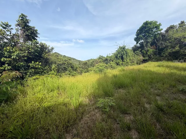 Bo. Cagüitas, Terreno En Aguas Buenas venta en Aguas Buenas, PR