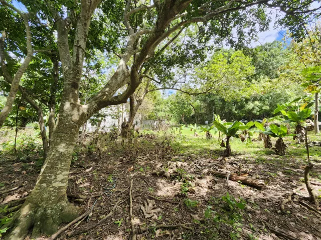 Bo. Llanos Tuna, Terreno en Cabo Rojo venta en Cabo Rojo, PR