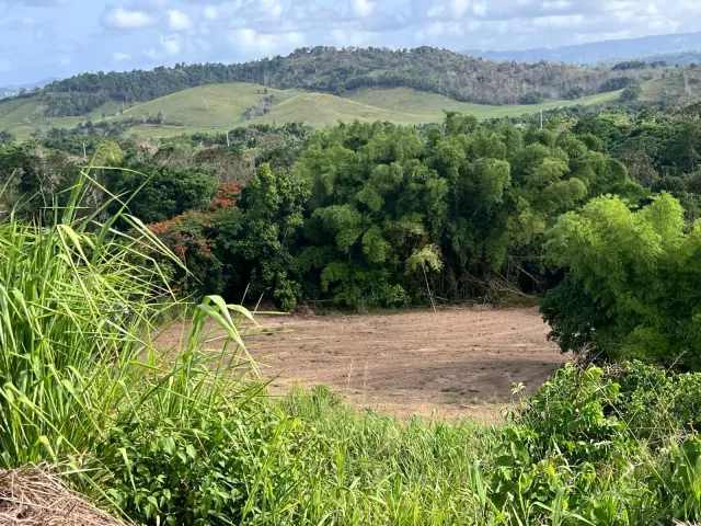 Bo. Caimito, Solar En Juncos venta en Juncos, PR