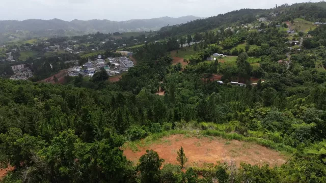 Bo El Pueblito Orocovis venta en Orocovis, PR