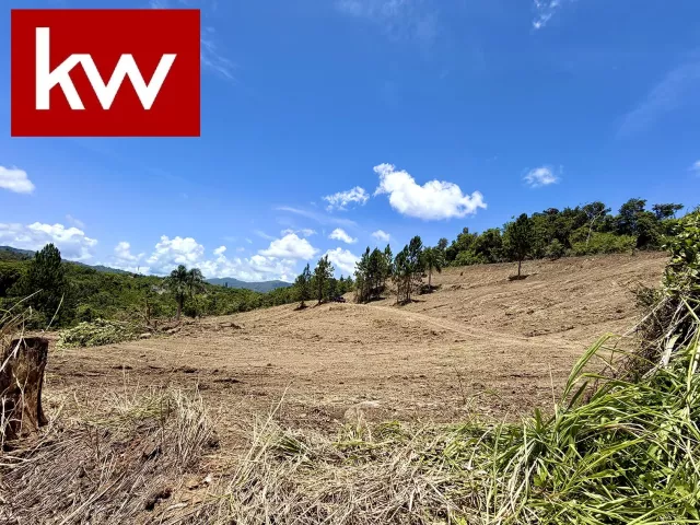 Bo. Arenas, Terreno en Cidra venta en Cidra, PR