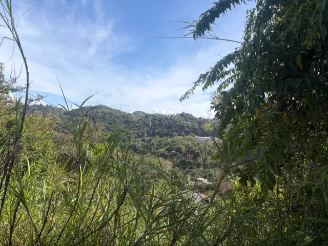 Bo. Buena Vista, Terreno en Bayamón venta en Bayamón, PR