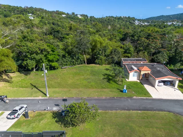 Bo. Florida, Terreno en San Lorenzo venta en San Lorenzo, PR