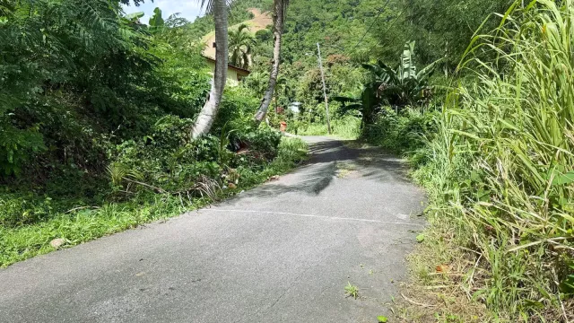 casas en venta o alquiler en Luquillo