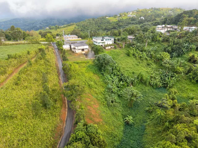 Bo. Guzman Arriba, Comercial venta en Río Grande, PR