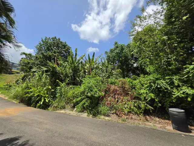 Urb. Sierra Taina, Solar en Bayamón venta en Bayamón, PR