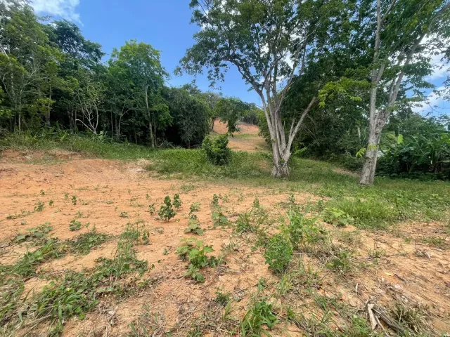 Bo. Quebrada Cruz, Terreno en Toa Alta venta en Toa Alta, PR