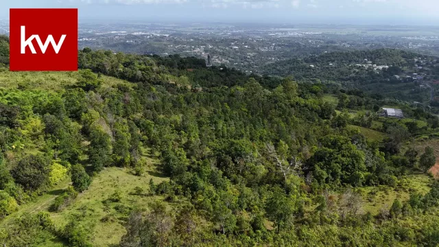 Bo Guzmán Arriba, Finca En Rio Grande venta en Río Grande, PR