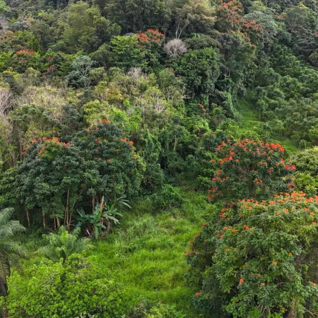 Bo. Río Arriba Poniente venta en Manatí, PR