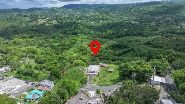 Bo. Dos Bocas, Terreno en Corozal venta en Corozal, PR