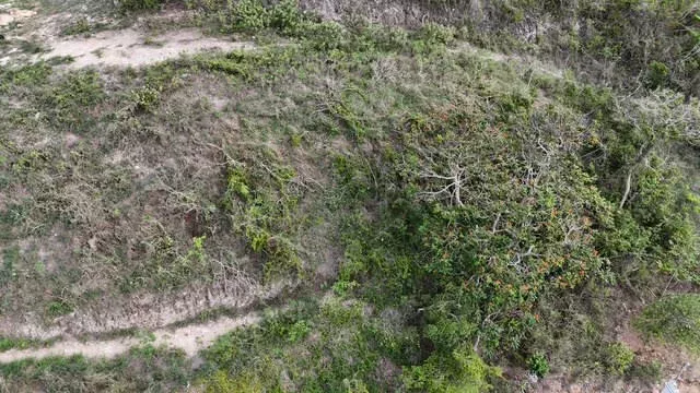 Camuy Bo Puente venta en Camuy, PR