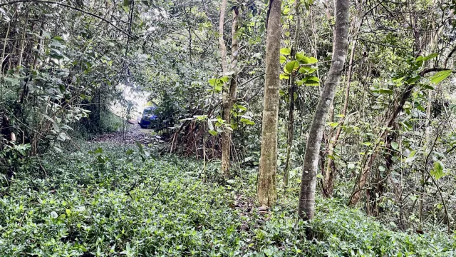 Bo. Pasto Carretera 718 Km 1.7 venta en Aibonito, PR