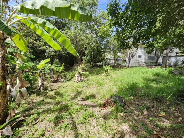 Bo. Llanos Tuna, Terreno en Cabo Rojo venta en Cabo Rojo, PR