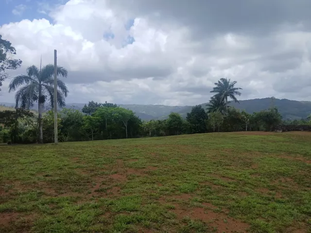 Bo. Naranjo, ComerÍo, P.r venta en Comerío, PR
