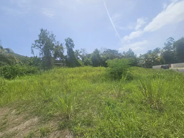 Estancias de Monte Verde venta en Gurabo, PR