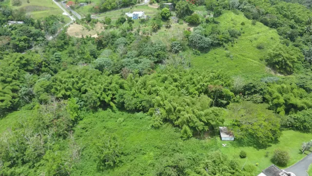Bo. Calzada, Terreno en Maunabo venta en Maunabo, PR